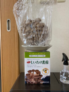 最近のマイブーム
