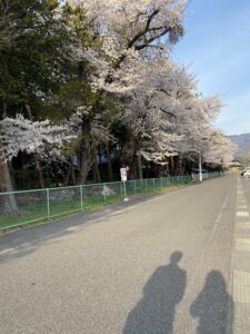 花見も最小限に・・・