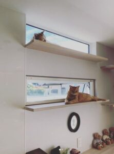 【松本市】猫＊リフォーム