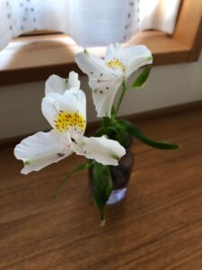【長野市】リフォーム　癒し続編