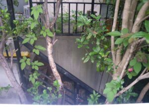 【長野市】上松のリノベーション完成！